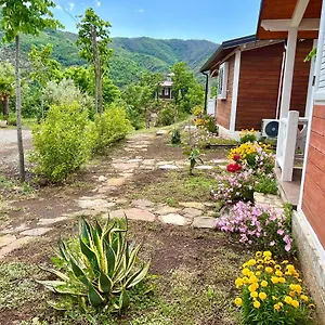 Baven -toven Naturae , Rubik Albanie